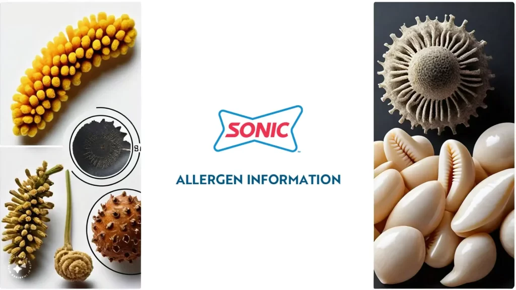 Sonic Allergen Menu